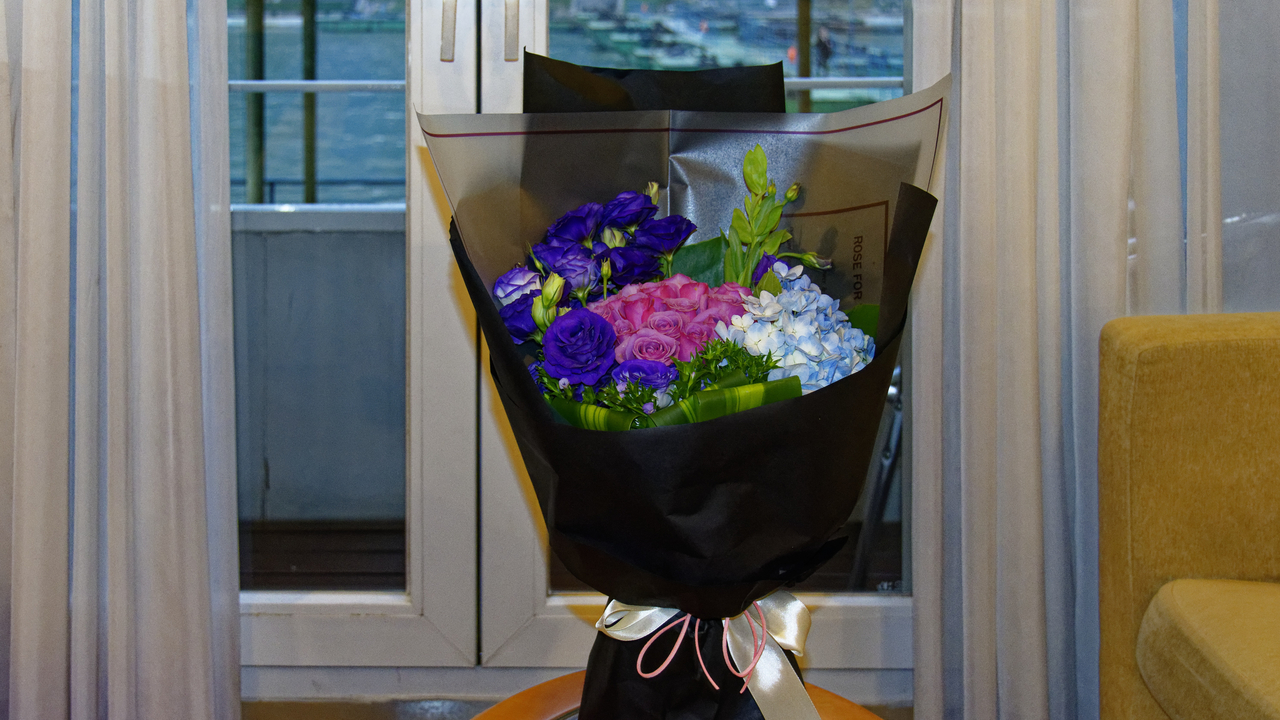 20161106 173142•Zoo Pandas•Jiulongpo District•Chongqing•China